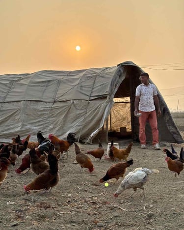 organic farm in panipat