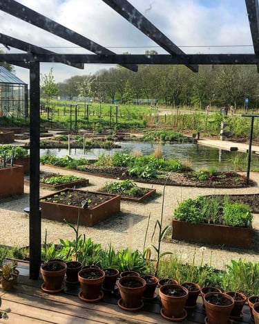 Piscina natural com o jardim