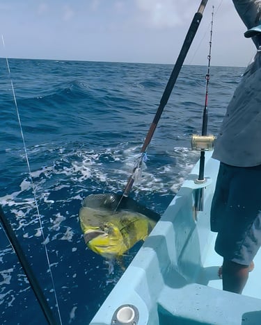 a man holding a fishing rod and fishing rod