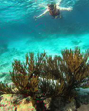 a person swimming in the ocean with a red life jacket