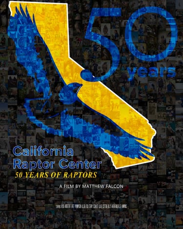 50 Years of Raptors Documentary