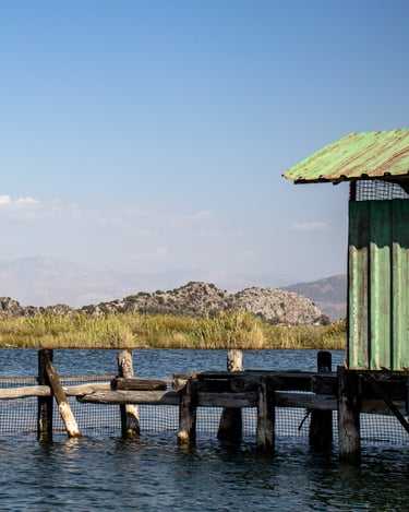 Dalyan delta