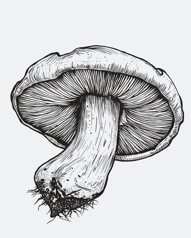 Black Pencil Mushroom by Sezer Ali, 2024