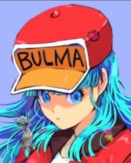 Bulma - Correctrice