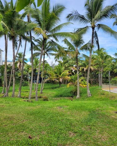 Big Island Hawaï