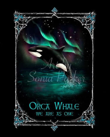 Orca Whale illustration of card from the Animal Spirit Oracle Twilight Deck