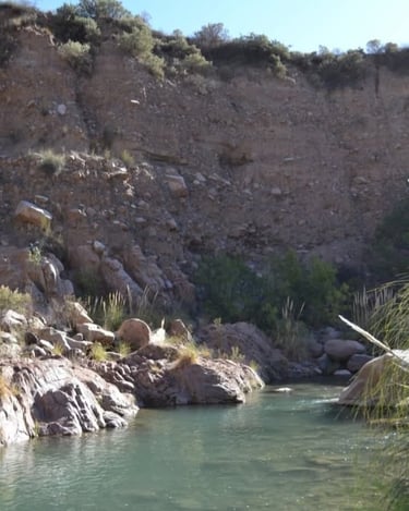 Retiro Mendoza Pulsar