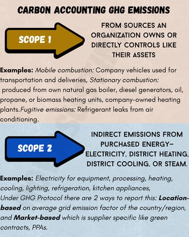 scope 1 and 2 emission examples