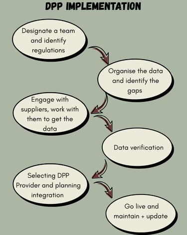 DPP implementation steps