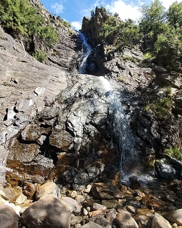 mt somers bus stop track waterfall