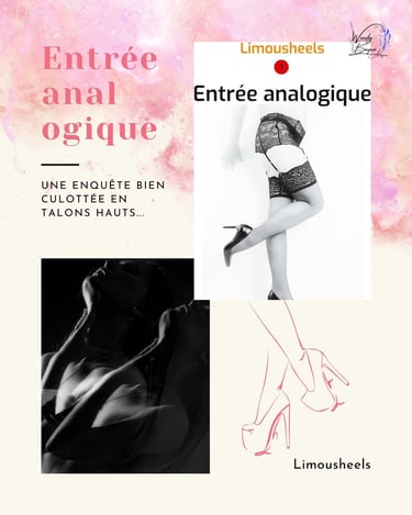 Entrée analogique, de Limousheels.