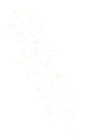 Motif décoratif fleurs - Wendy Baqué, chroniqueuse littéraire.