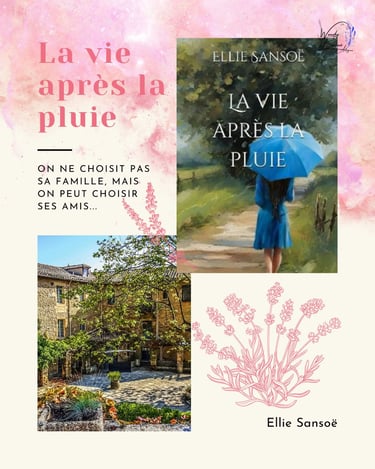 La vie après la pluie, d'Ellie Sansoë