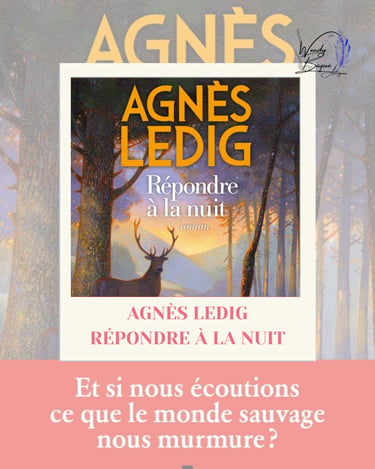 Visuel pour la chronique du roman "Répondre à la nuit" d'Agnès Ledig.