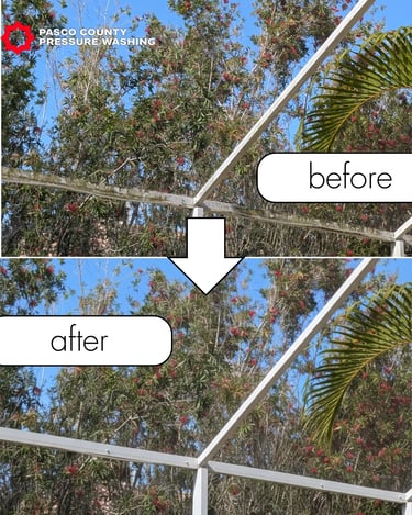 Pool Cage Lanai Pressure Washing Palm Harbor, FL