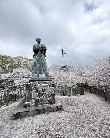 Sakamoto Ryoma statue with cherry blossoms in full bloom