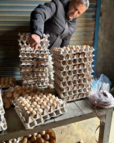 farm fresh desi egg tray