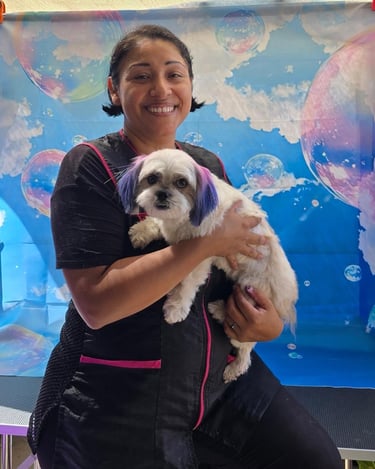 Smiling pet groomer holding a small white dog with purple dyed ears in front of a blue bubble backdrop.