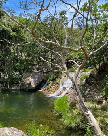 Poço natural e pequena queda d’água na Cachoeira Paraíso dos Pássaros, na Serra da Canastra MG