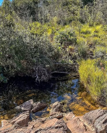 Água cristalina na nascente do Rio São Francisco, cercada pela vegetação da Serra da Canastra
