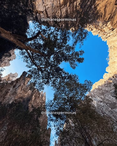 Vista para o alto da Gruta do Salitre com árvores e paredões iluminados pelo sol