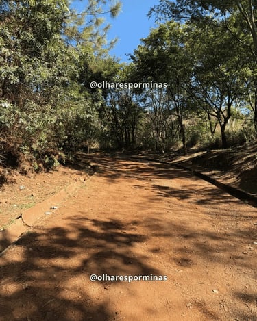 Trilha arborizada no Parque da Serra do Curral, em Belo Horizonte