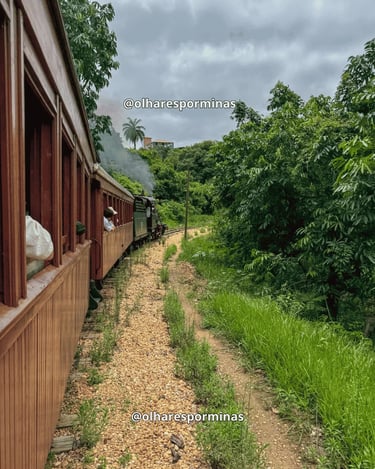Vista do trajeto da Maria Fumaça de Tiradentes com vagões, trilhos e paisagem rural em Minas Gerais