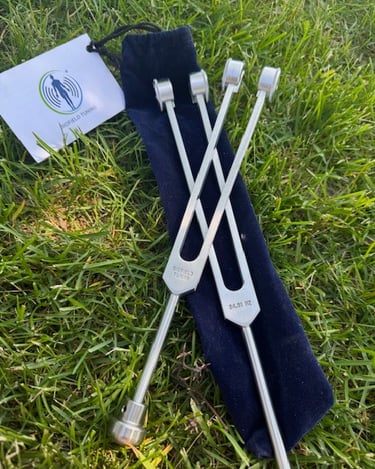 a pair of tuning forks