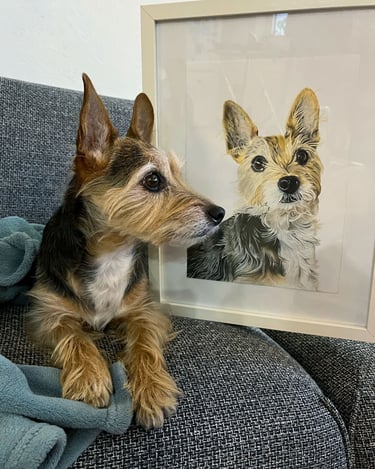 A small Yorkshire terrier mix dog sitting on a couch next to its framed custom dog portrait.