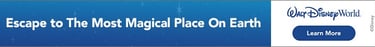 Walt Disney World - Coastal Vibe Travel