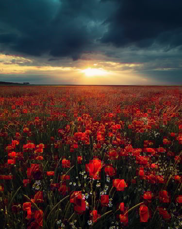 Landscape photographié par David Keochkerian