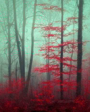 Paysage infrarouge artistique par David Keochkerian