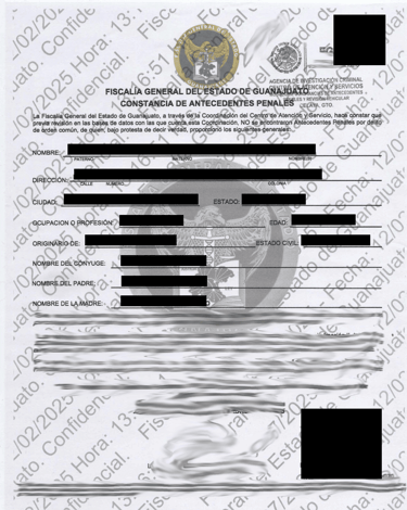 Official police character certificate translated by Lang Lumin services