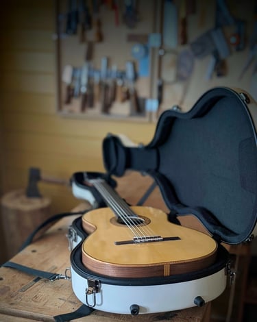 handmade guitar in case