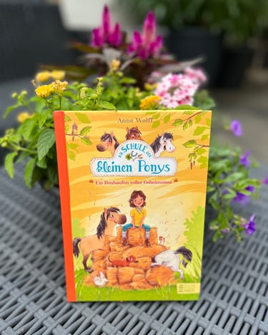 Pferdebuch Die Schule der kleinen Ponys