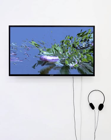 digital art, video installation,  joanna wlaszyn