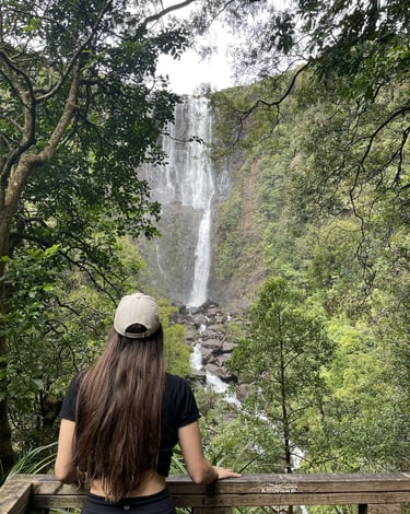 Mirador a Wairere Falls en Nueva Zelanda