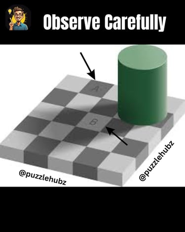 Adelson checker-shadow color illusion showing a checkerboard pattern with a green cylinder casting a