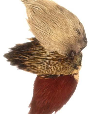 Demi cou de coq de pêche