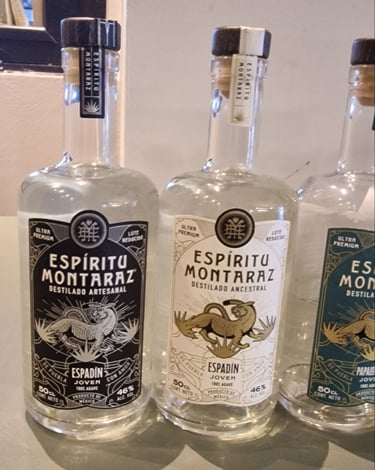 Selezione tequila artigianale premium per locali notturni