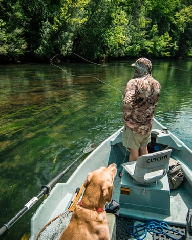 Summer dry fly fishing on the South Holston River.