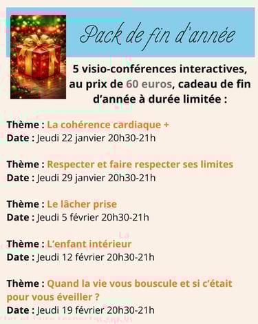 Pack de 5 visio-conférences