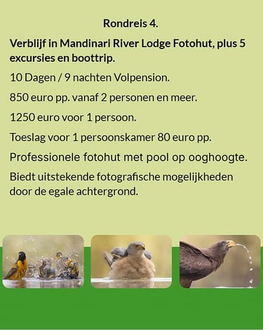 Flyer Tour 4 – 10-daagse vogelfotografie Gambia rondreis met verblijf in Mandinari River Lodge Photo