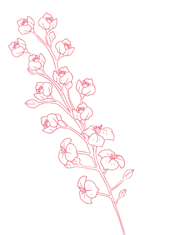 Motif décoratif fleurs - Wendy Baqué, chroniqueuse littéraire.