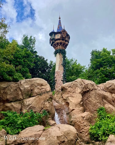 Tour de Raiponce à Magic Kingdom, Walt Disney World en Floride