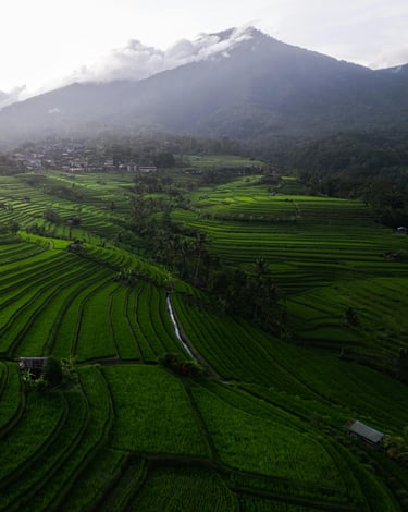 Photo of Jatiluwih Rice Terrace Bali Indonesia