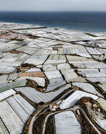 Photo of greenhouses in Almeria in southeastern Spain