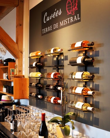 exposition des cuvees domaine terre de mistral-thierry le moel photographe