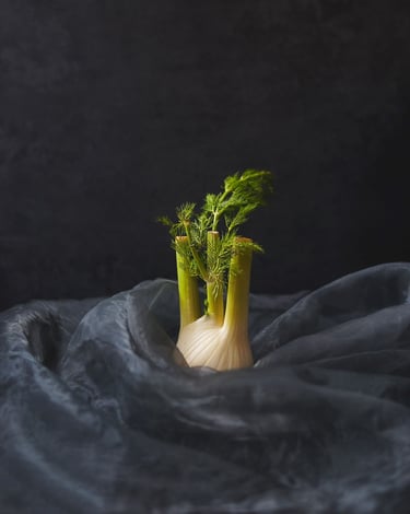 photographie de fenouille-thierry le moel photographe