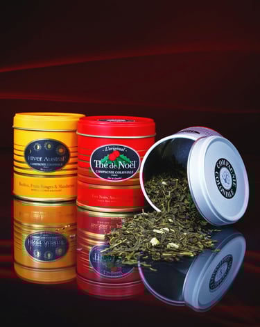 photographie de the de noel thierry le moel photographe